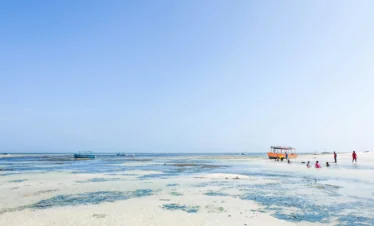 malindi beach coast