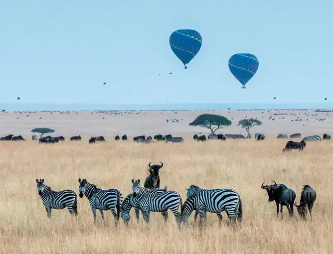 Best Time to Visit Masai Mara 2026: Migration, Weather & Safari Tips